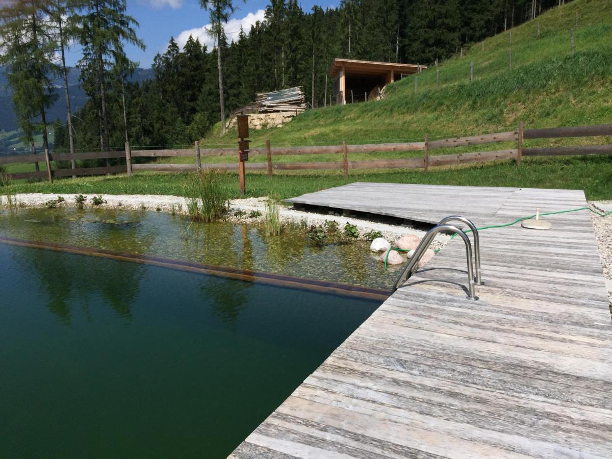 Sonnleit'N Zimmer 6 Abtenau Esterno foto