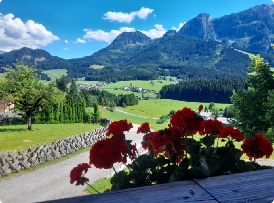 Sonnleit'N Zimmer 6 Abtenau Esterno foto