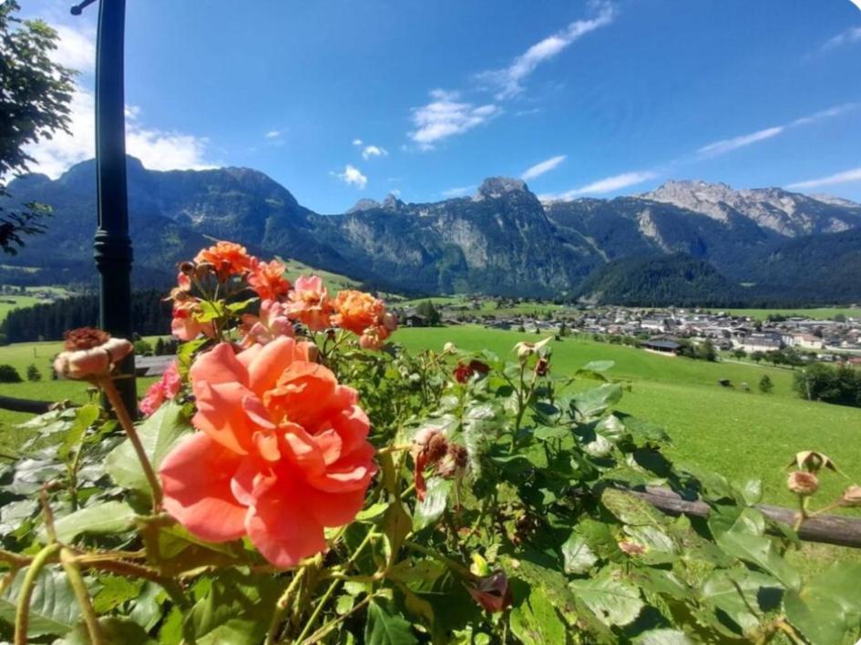 Sonnleit'N Zimmer 6 Abtenau Esterno foto